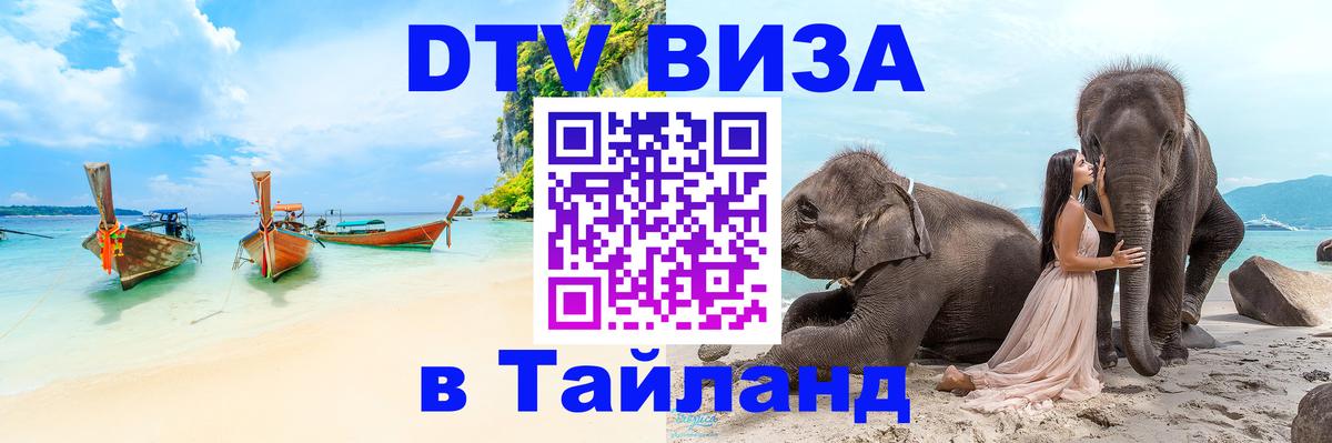 Сколько стоит DTV виза — актуальные цены, оформление даже без документов - Веллингтон 